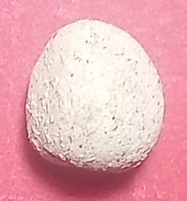 20250718_224039.jpg