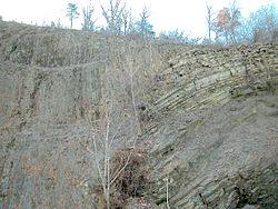 250px-Junction_fault_0112.jpg