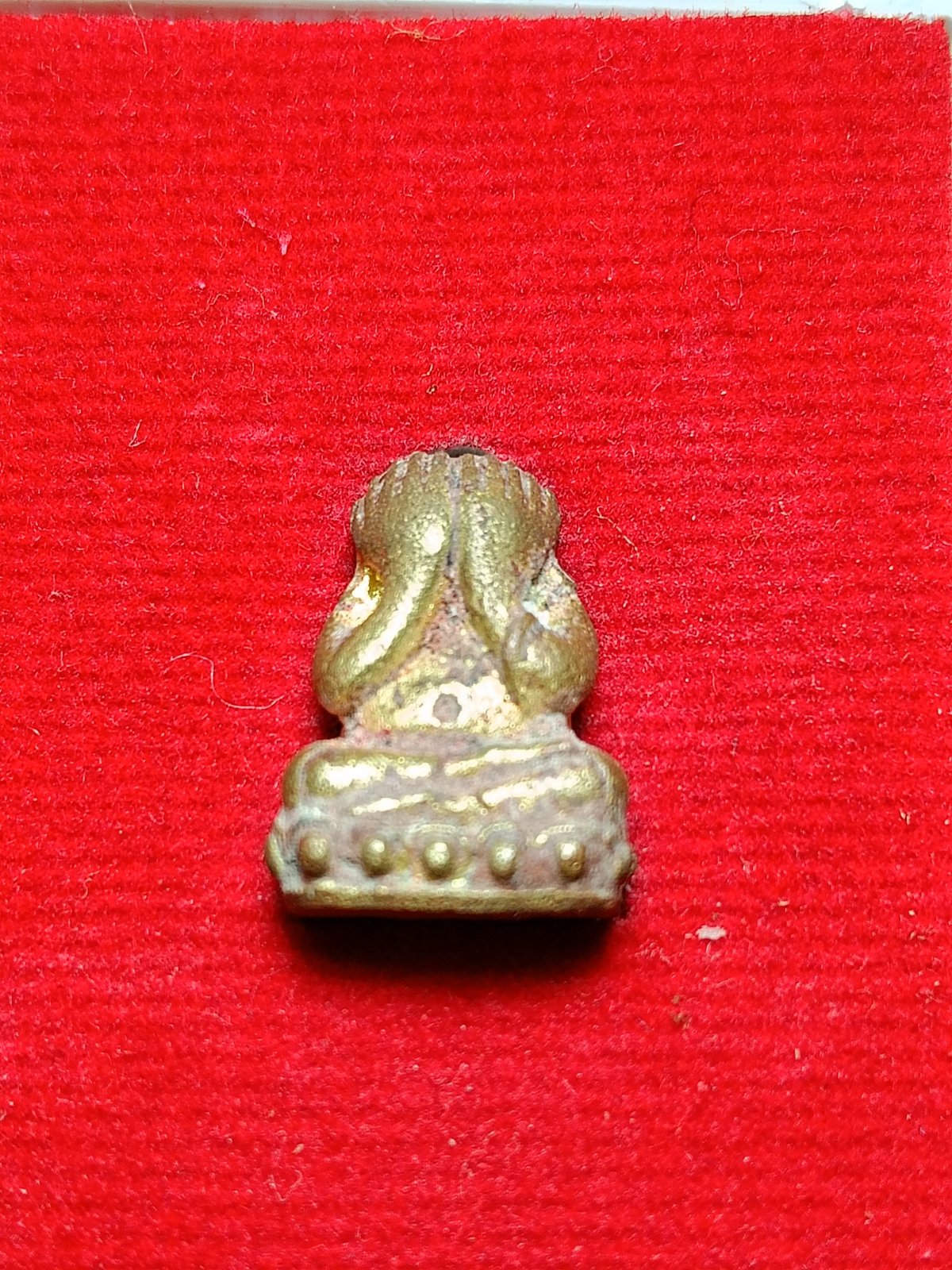 IMG20260214221639.jpg