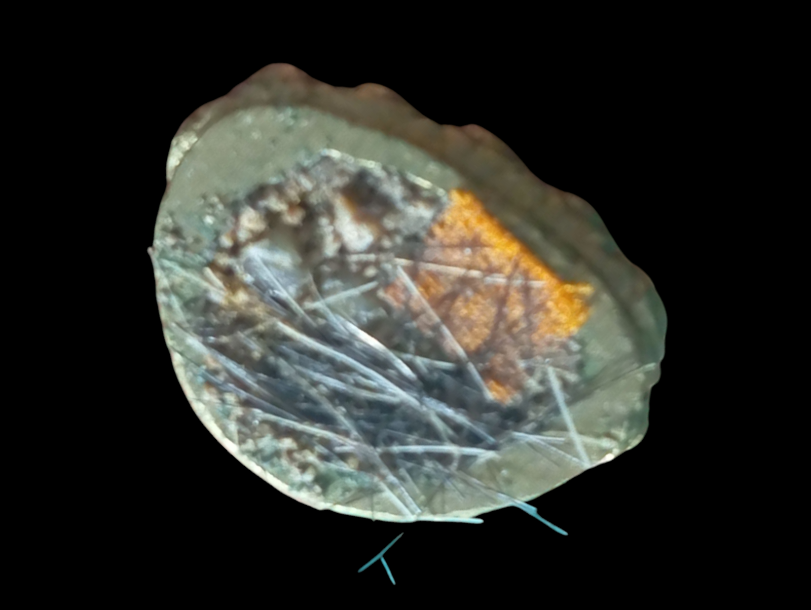 IMG_20250709_125558 (1).png
